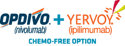 OPDIVO® (nivolumab) + YERVOY® logo